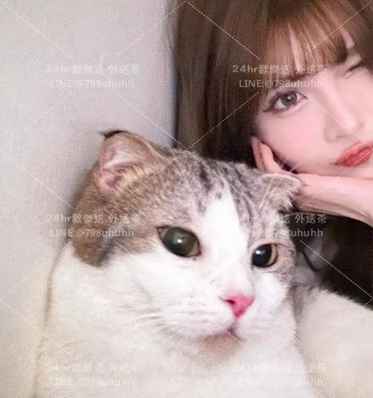 莉婷